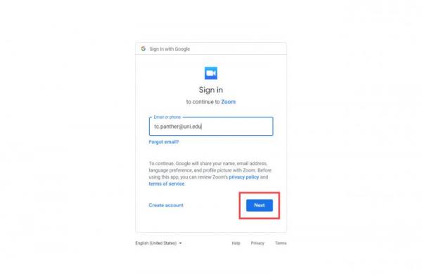 Google authentication screen